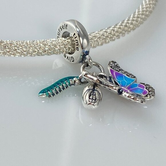 Sterling Silver Give Yourself Time - Butterfly Life Cycle Dangle Charm - Picture 6 of 15